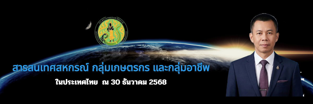 สารสนเทศสหกรณ์ กลุ่มเกษตรกร และกลุ่มอาชีพ ในประเทศไทย