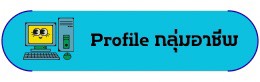 profile กลุ่มอาชีพ