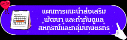 จัดทำแผนการส่งเสริม