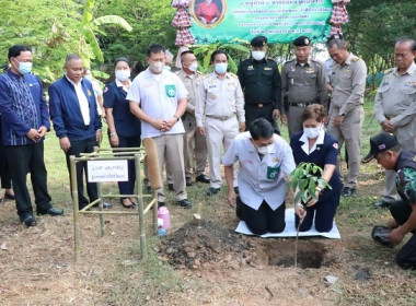 ร่วมโครงการหน่วยแพทย์เคลื่อนที่ พอ.สว. จังหวัดเลย และ ... พารามิเตอร์รูปภาพ 2