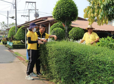 จัดกิจกรรมโครงการปรับปรุงภูมิทัศน์อาคารสถานที่และกิจกรรม 5 ... พารามิเตอร์รูปภาพ 8