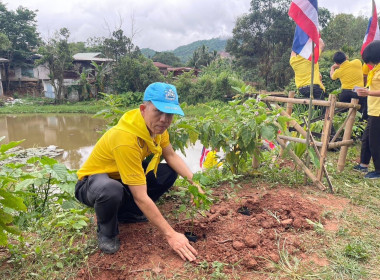 เข้าร่วมกิจกรรมการปลูกพืชสวนครัวเพื่อความมั่นคงทางด้านอาหารภายใต้คณะทำงานด้านการขับเคลื่อนและเสริมสร้างความเข้มแข็ง หมู่บ้านยั่งยืน (Sustainble Village) ... พารามิเตอร์รูปภาพ 8