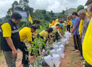 เข้าร่วมกิจกรรมการปลูกพืชสวนครัวเพื่อความมั่นคงทางด้านอาหารภายใต้คณะทำงานด้านการขับเคลื่อนและเสริมสร้างความเข้มแข็ง หมู่บ้านยั่งยืน (Sustainble Village) ... พารามิเตอร์รูปภาพ 4