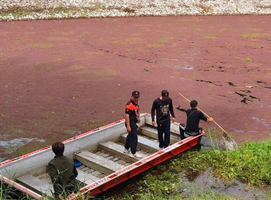 เข้าร่วมกิจกรรมจิตอาสาเนื่องในวันคล้ายวันพระบรมราชสมภพ ... พารามิเตอร์รูปภาพ 8