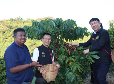 สหกรณ์ ... พารามิเตอร์รูปภาพ 17