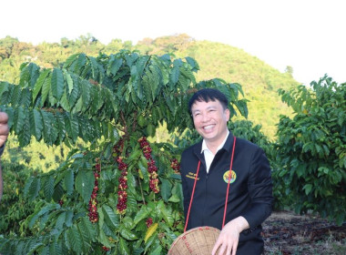 สหกรณ์ ... พารามิเตอร์รูปภาพ 16