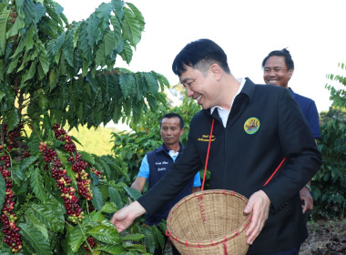 สหกรณ์ ... พารามิเตอร์รูปภาพ 15