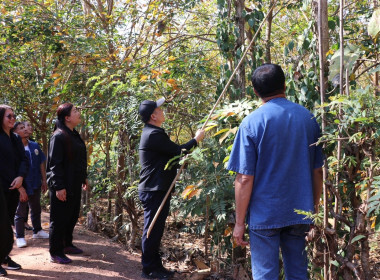 ลงพื้นที่ตรวจเยี่ยมฟาร์มเกษตรของสมาชิกสหกรณ์ผู้เลี้ยงผึ้งเมืองเลย จำกัด ... พารามิเตอร์รูปภาพ 10