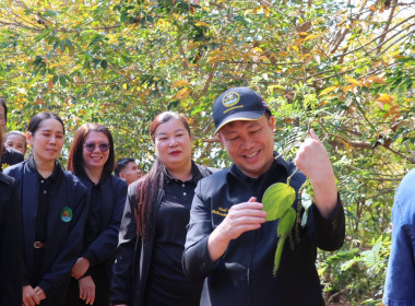 ลงพื้นที่ตรวจเยี่ยมฟาร์มเกษตรของสมาชิกสหกรณ์ผู้เลี้ยงผึ้งเมืองเลย จำกัด ... พารามิเตอร์รูปภาพ 11