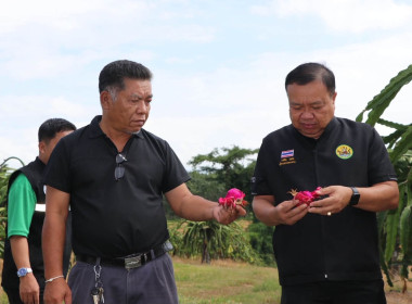 ร่วมประชุมหารือแนวทางการกระจายผลผลิตแก้วมังกรของสมาชิกสหกรณ์และเกษตรกรจังหวัดเลย และลงพื้นที่ตรวจเยี่ยมแปลง ... พารามิเตอร์รูปภาพ 13