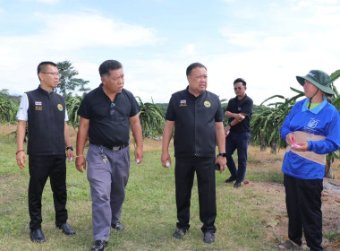 ร่วมประชุมหารือแนวทางการกระจายผลผลิตแก้วมังกรของสมาชิกสหกรณ์และเกษตรกรจังหวัดเลย และลงพื้นที่ตรวจเยี่ยมแปลง ... พารามิเตอร์รูปภาพ 14